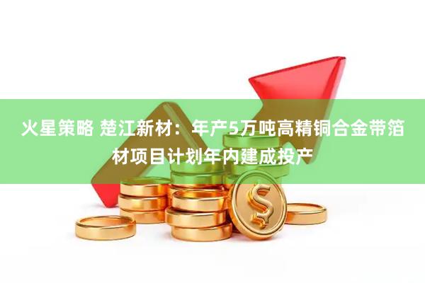 火星策略 楚江新材：年产5万吨高精铜合金带箔材项目计划年内建成投产